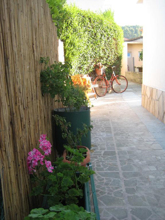 Apartment Bosiljak Jelsa  Rom bilde